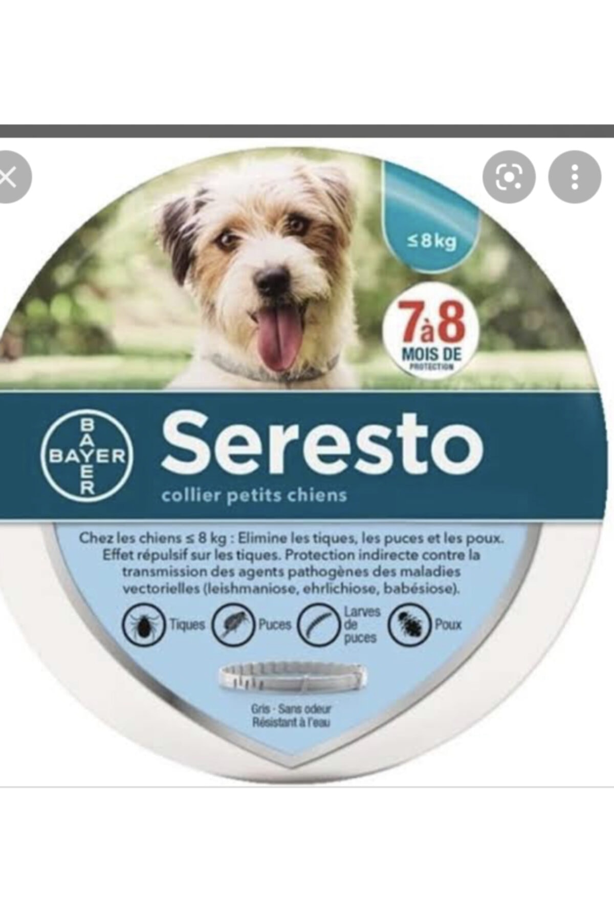 Bayer Seresto Köpek Tasması L