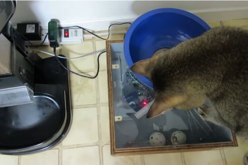 Kedi Otomatik Mama Makinesi WiFi